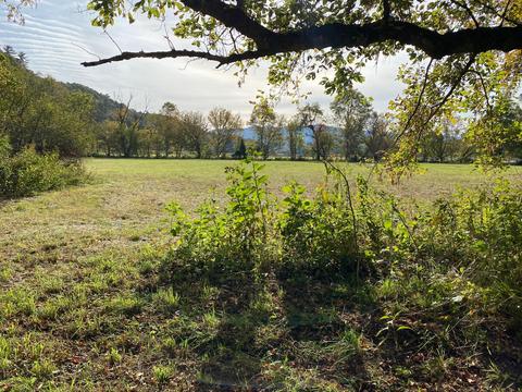 907 Prices Bluff Rd, Eagle Rock, VA 24085 photo 43