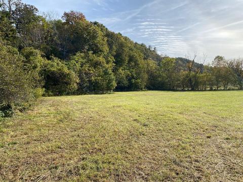 907 Prices Bluff Rd, Eagle Rock, VA 24085 photo 44