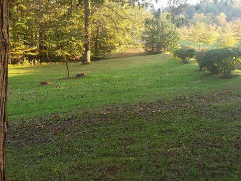 20 Natures Own Rd, Ferrum, VA 24088 photo 30