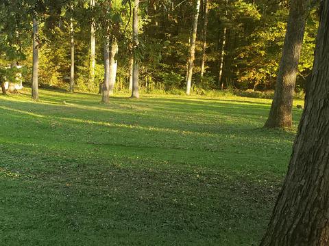 20 Natures Own Rd, Ferrum, VA 24088 photo 29