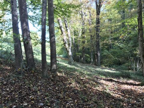114 Maple Ln NW, Willis, VA 24380 photo 33