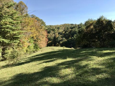 114 Maple Ln NW, Willis, VA 24380 photo 34
