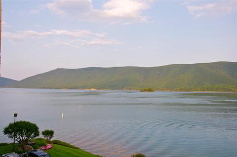 6605 Smith Mountain Rd #218, Penhook, VA 24137 photo 16