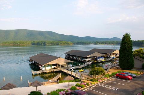 6605 Smith Mountain Rd #218, Penhook, VA 24137 photo 10