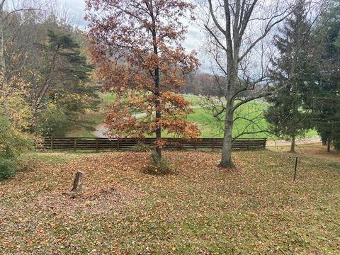 459 E Fairlawn Dr, Covington, VA 24426 photo 16