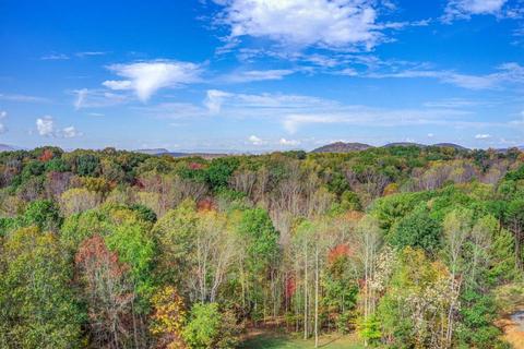 1059 Commonwealth Dr, Hardy, VA 24101 photo 29