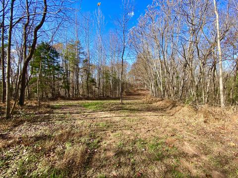 1121 Stone Mill Rd, Hurt, VA 24563 photo 19