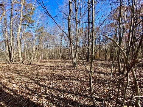 1121 Stone Mill Rd, Hurt, VA 24563 photo 17