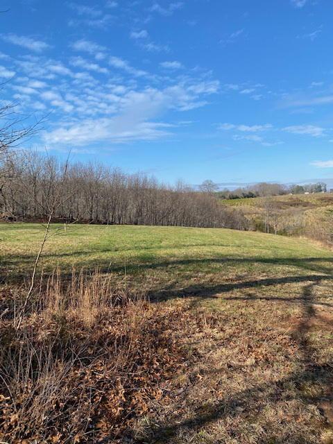 2097 Sandy Level Rd, Goodview, VA 24095 photo 42