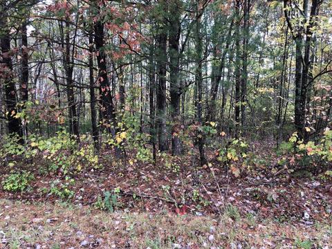 lot11 Indian Trl, Henry, VA 24102