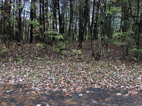 lot10 Indian Trl, Henry, VA 24102