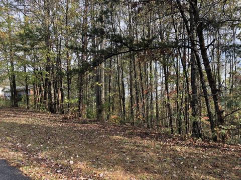 lot9 Indian Trl, Henry, VA 24102