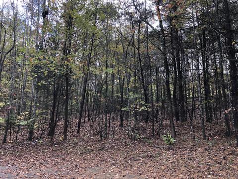 lot13 Indian Trl, Henry, VA 24102