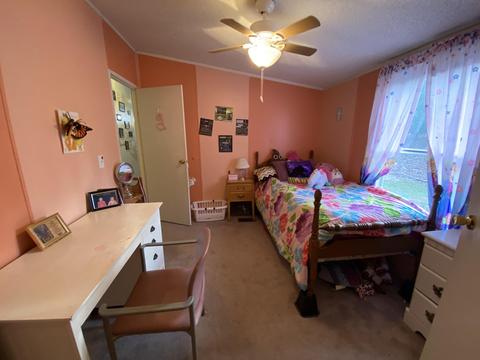 250 Isolane Rd, Callaway, VA 24067 photo 29