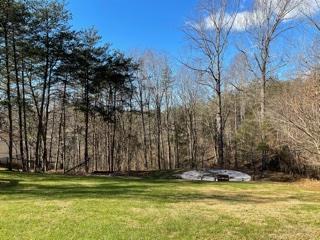 80 Tolley Rd, Hardy, VA 24101 photo 6