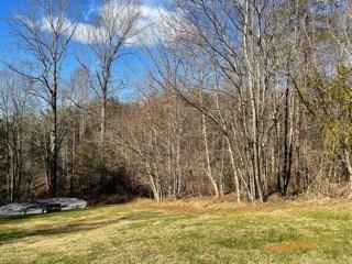 80 Tolley Rd, Hardy, VA 24101 photo 5