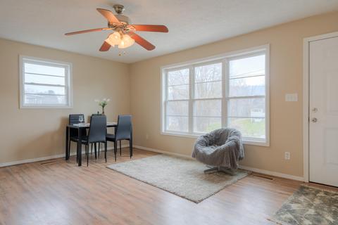 641 4th St NE, Pulaski, VA 24301 photo 5
