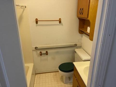 1096 Penicks Mill Rd, Thaxton, VA 24174 photo 14