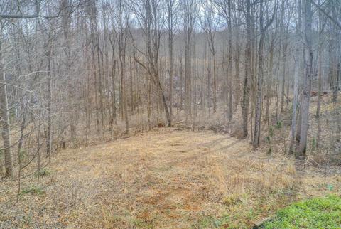 10361 Goodview Rd, Goodview, VA 24095 photo 42