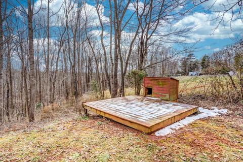 10361 Goodview Rd, Goodview, VA 24095 photo 43