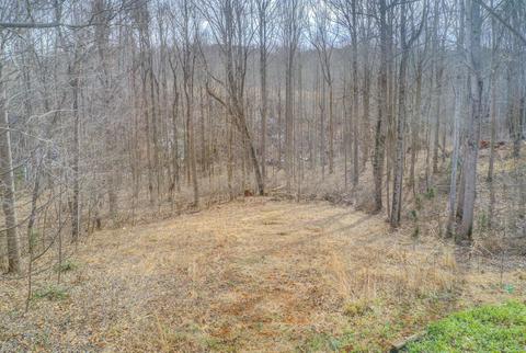 10361 Goodview Rd, Goodview, VA 24095 photo 36
