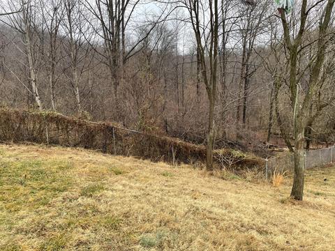 1221 Walnut Shell Dr, Vinton, VA 24179 photo 17