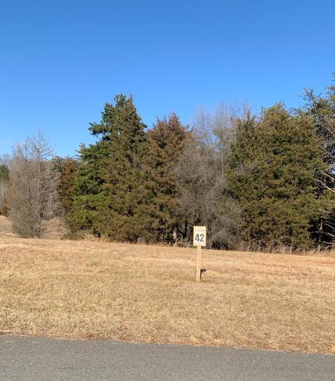 lot42 Farm Dr, Moneta, VA 24121