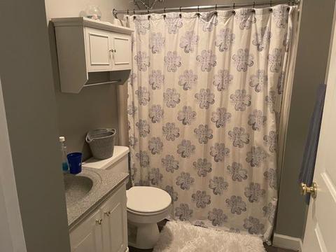 1076 Old Station Loop, Hardy, VA 24101 photo 16