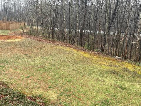 1076 Old Station Loop, Hardy, VA 24101 photo 28