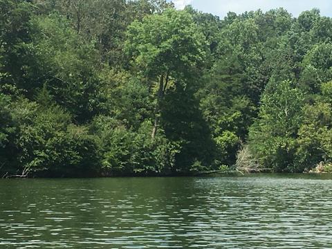 Lot 2 Stripers Cove Rd, Goodview, VA 24095