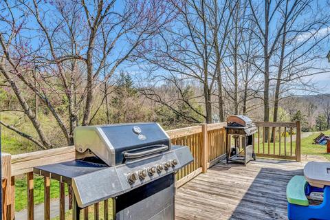 303 Branch Rd, Eagle Rock, VA 24085 photo 6
