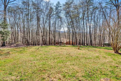 303 Sky View Rd, Goodview, VA 24095 photo 3