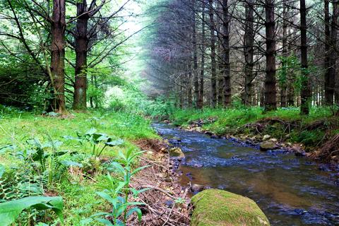 385 Archa St, Hillsville, VA 24343