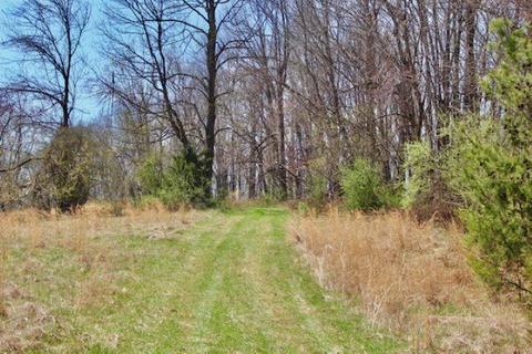 2011 Broadhead School Rd, Middlebrook, VA 24459 photo 35