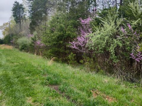 Lot 20 Lakewood Forest Rd, Moneta, VA 24121