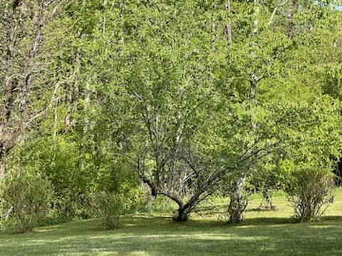 276 Sandy River Rd, Axton, VA 24054 photo 2