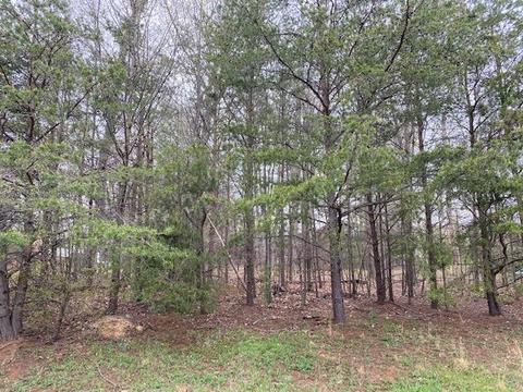 2459 Wolf Run, Vinton, VA 24179 photo 2