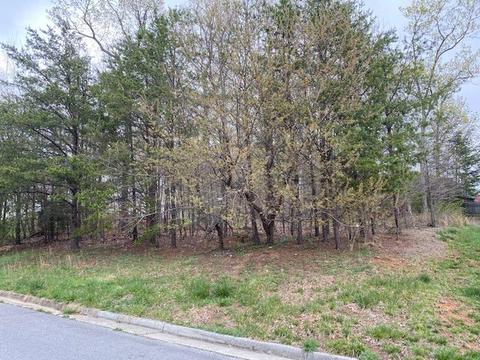 2459 Wolf Run, Vinton, VA 24179 photo 4