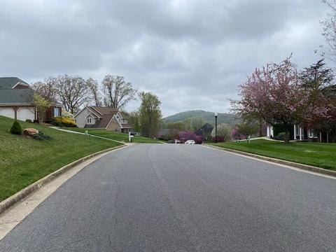 2459 Wolf Run, Vinton, VA 24179 photo 5