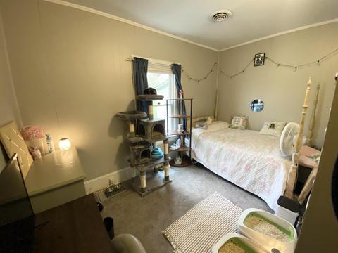 720 E Jackson Ave, Vinton, VA 24179 photo 12