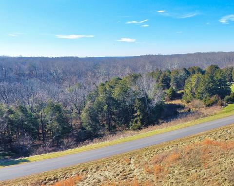 1032 Elk Ct, Forest, VA 24551 photo 93
