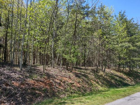 Lot 51 Lake View Pt, Glade Hill, VA 24092
