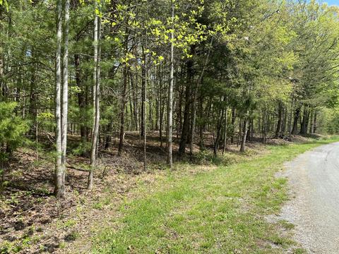 0 Kristen Forest Rd, Hardy, VA 24101