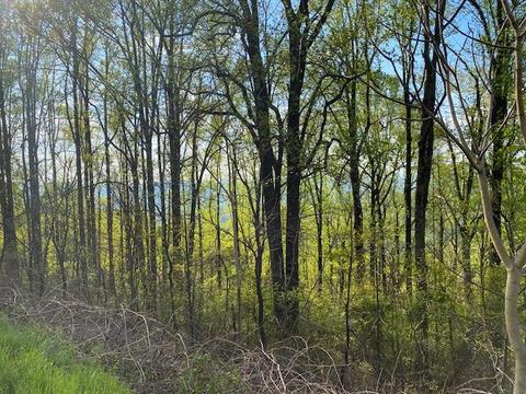 0 Jeters Chapel Rd, Vinton, VA 24179