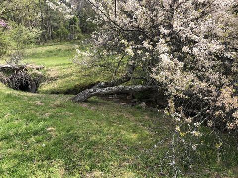 21824 Botetourt Rd, Eagle Rock, VA 24085 photo 5