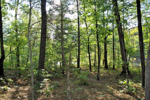 3948 Flatwoods Rd, Elliston, VA 24087 photo 43