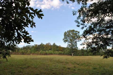 3948 Flatwoods Rd, Elliston, VA 24087 photo 53