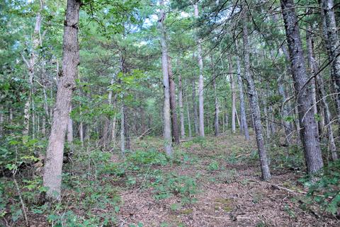 3948 Flatwoods Rd, Elliston, VA 24087 photo 42