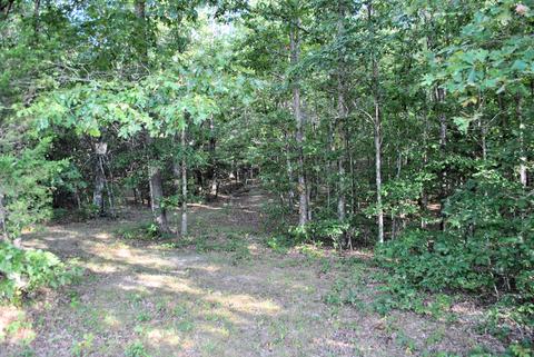 3948 Flatwoods Rd, Elliston, VA 24087 photo 55