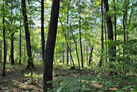 3948 Flatwoods Rd, Elliston, VA 24087 photo 44